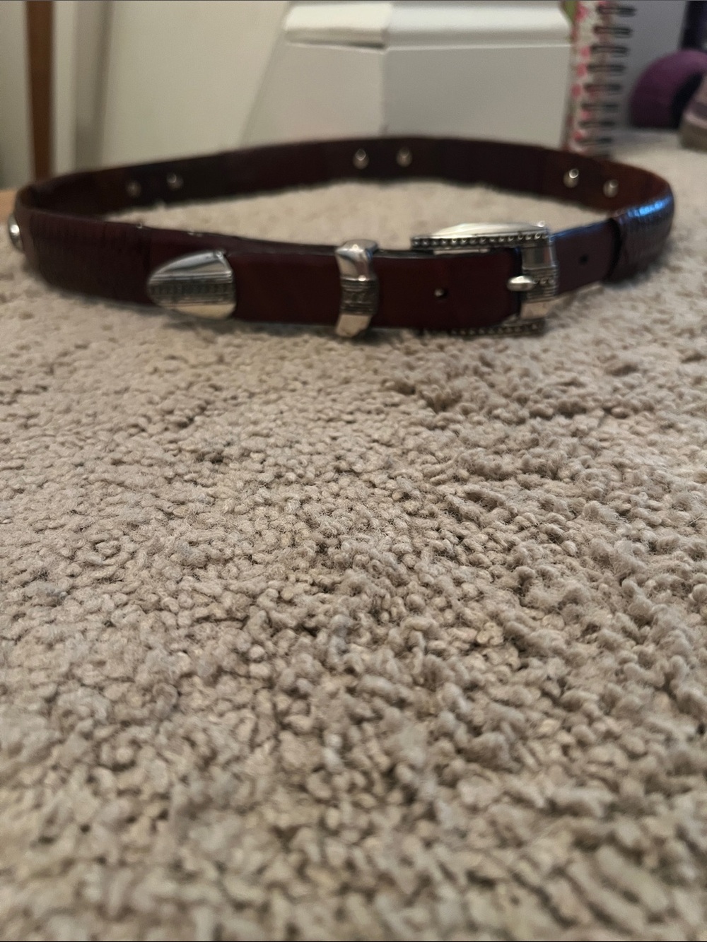 Brighton, Brown, Leather, Belt with silver design, Size 36